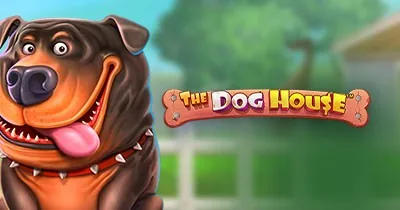 The Dog House